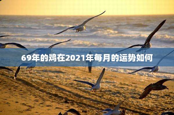 69年的鸡在2021年每月的运势如何
