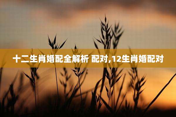 十二生肖婚配全解析 配对,12生肖婚配对
