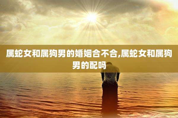 属蛇女和属狗男的婚姻合不合,属蛇女和属狗男的配吗