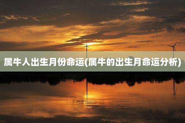 属牛人出生月份命运(属牛的出生月命运分析)