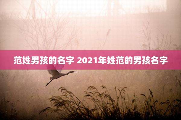 范姓男孩的名字 2021年姓范的男孩名字