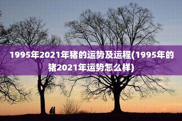 1995年2021年猪的运势及运程(1995年的猪2021年运势怎么样)