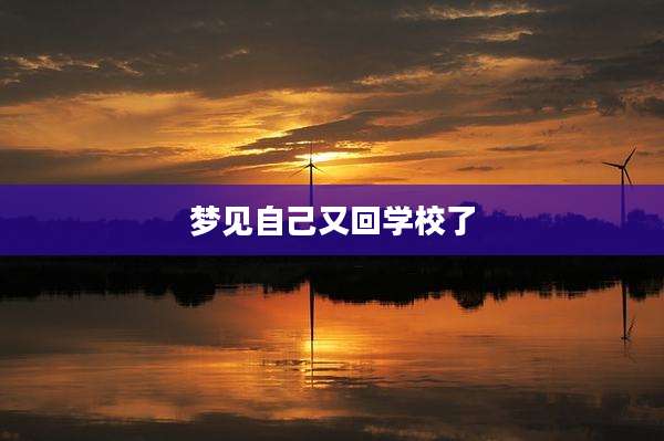 梦见自己又回学校了
