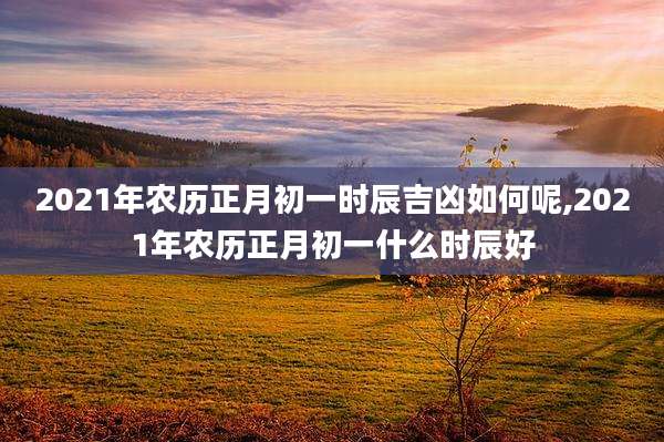 2021年农历正月初一时辰吉凶如何呢,2021年农历正月初一什么时辰好