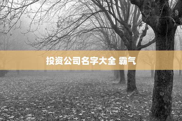投资公司名字大全 霸气