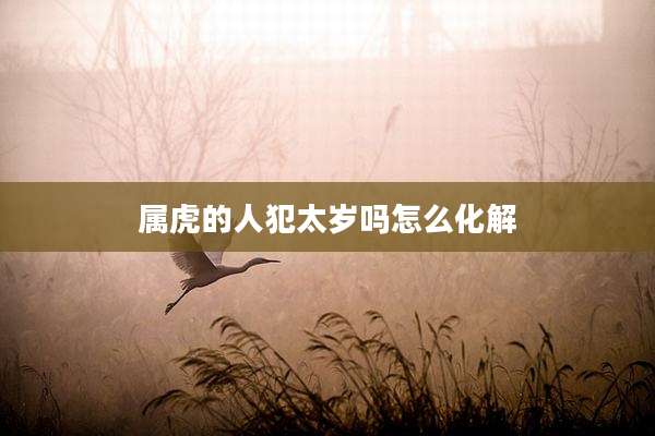 属虎的人犯太岁吗怎么化解