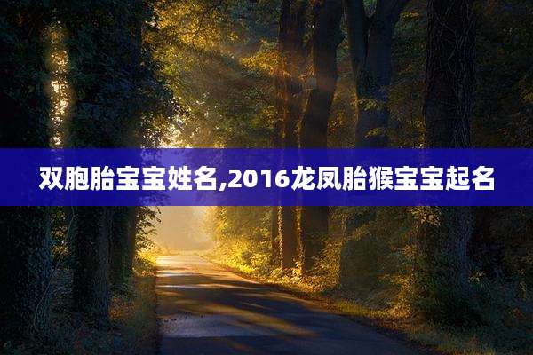 双胞胎宝宝姓名,2016龙凤胎猴宝宝起名
