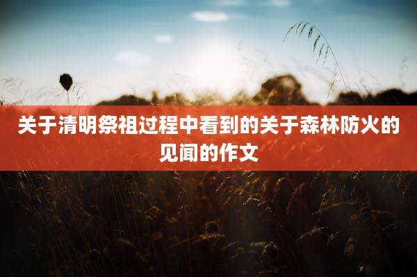 关于清明祭祖过程中看到的关于森林防火的见闻的作文