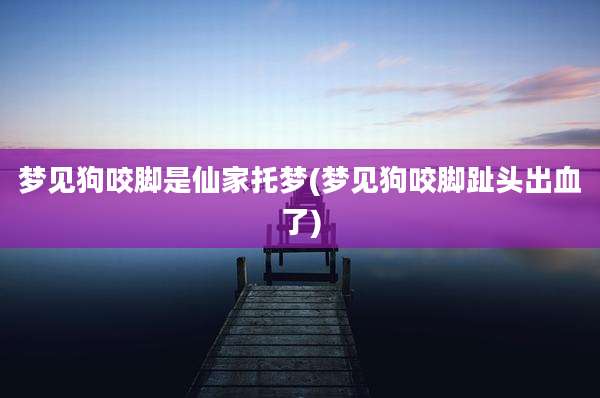 梦见狗咬脚是仙家托梦(梦见狗咬脚趾头出血了)