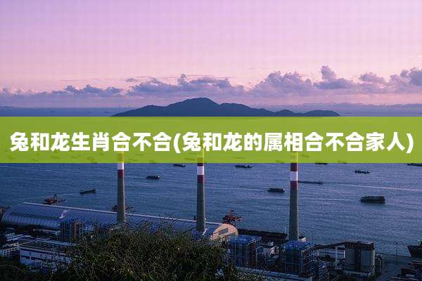 兔和龙生肖合不合(兔和龙的属相合不合家人)