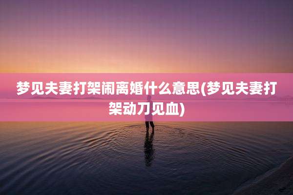 梦见夫妻打架闹离婚什么意思(梦见夫妻打架动刀见血)