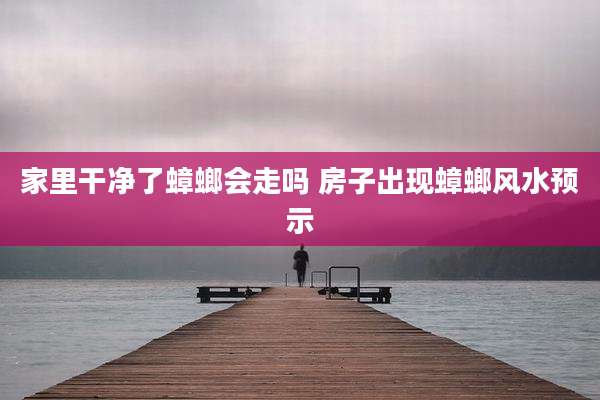 家里干净了蟑螂会走吗 房子出现蟑螂风水预示