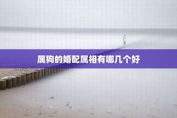 属狗的婚配属相有哪几个好