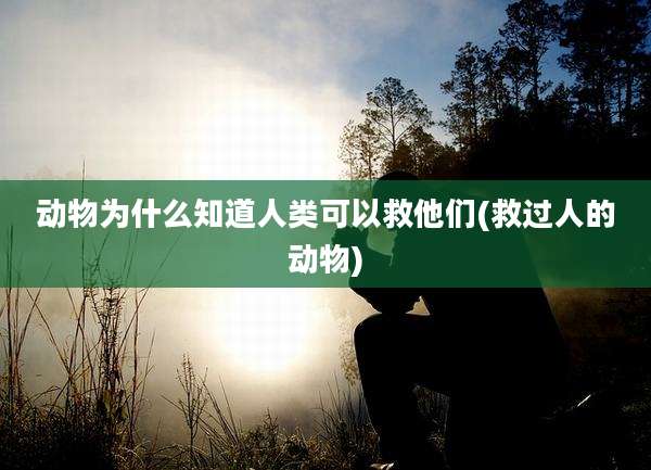 动物为什么知道人类可以救他们(救过人的动物)