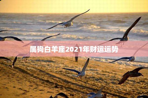 属狗白羊座2021年财运运势