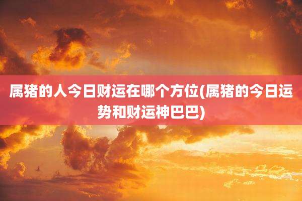 属猪的人今日财运在哪个方位(属猪的今日运势和财运神巴巴)