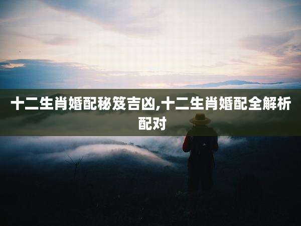 十二生肖婚配秘笈吉凶,十二生肖婚配全解析 配对