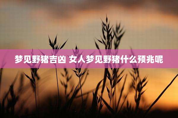 梦见野猪吉凶 女人梦见野猪什么预兆呢