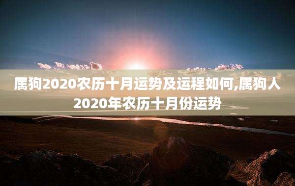 属狗2020农历十月运势及运程如何,属狗人2020年农历十月份运势