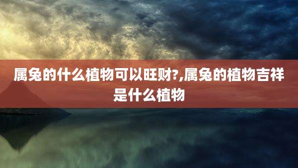 属兔的什么植物可以旺财?,属兔的植物吉祥是什么植物