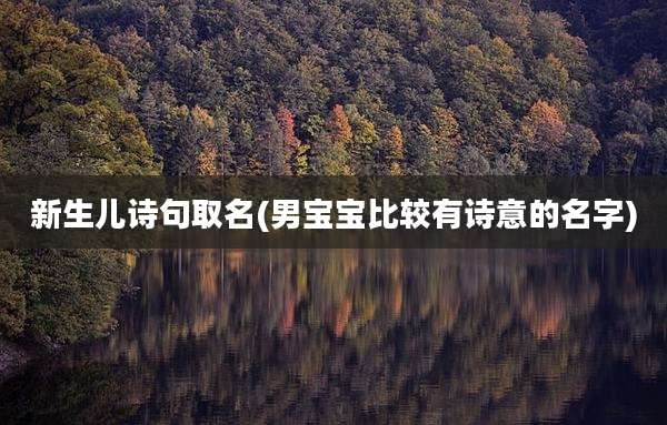 新生儿诗句取名(男宝宝比较有诗意的名字)