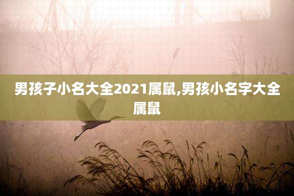 男孩子小名大全2021属鼠,男孩小名字大全属鼠