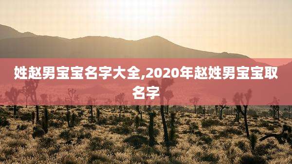 姓赵男宝宝名字大全,2020年赵姓男宝宝取名字