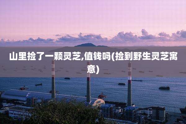 山里捡了一颗灵芝,值钱吗(捡到野生灵芝寓意)