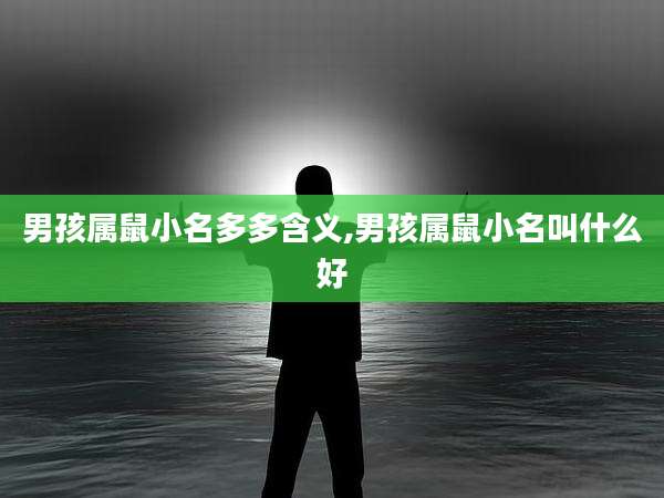 男孩属鼠小名多多含义,男孩属鼠小名叫什么好