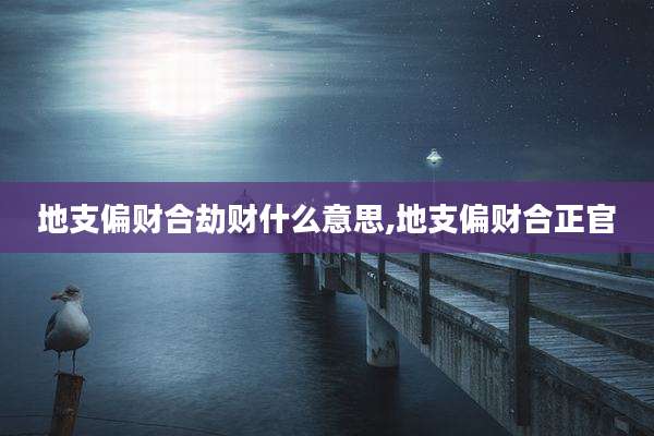 地支偏财合劫财什么意思,地支偏财合正官