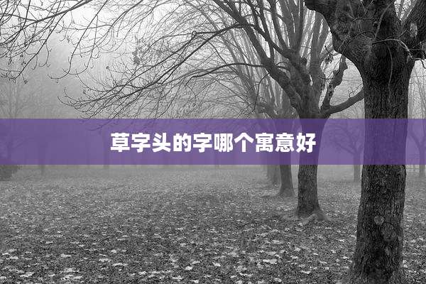 草字头的字哪个寓意好