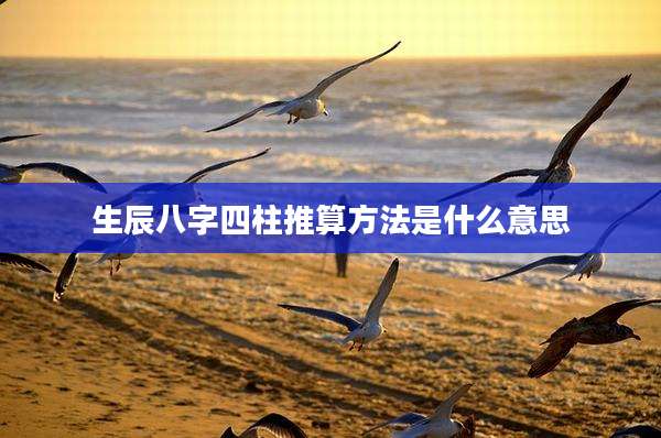 生辰八字四柱推算方法是什么意思