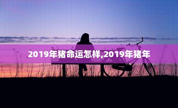 2019年猪命运怎样,2019年猪年