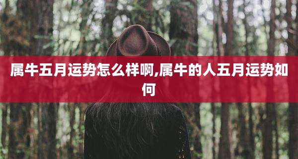 属牛五月运势怎么样啊,属牛的人五月运势如何