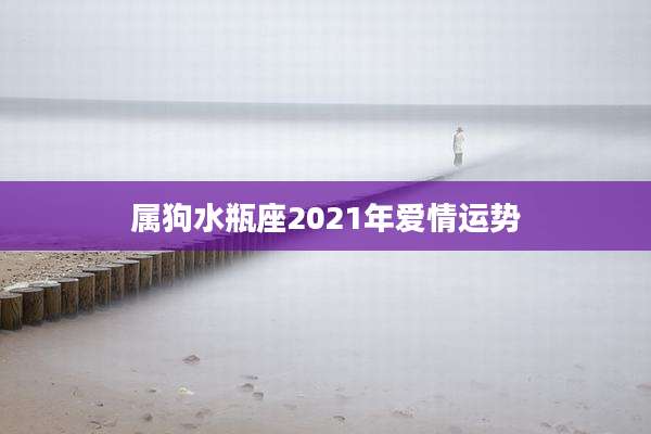 属狗水瓶座2021年爱情运势