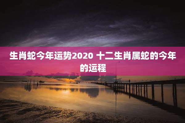 生肖蛇今年运势2020 十二生肖属蛇的今年的运程