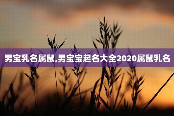 男宝乳名属鼠,男宝宝起名大全2020属鼠乳名