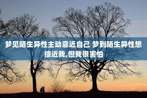 梦见陌生异性主动靠近自己 梦到陌生异性想接近我,但我很害怕