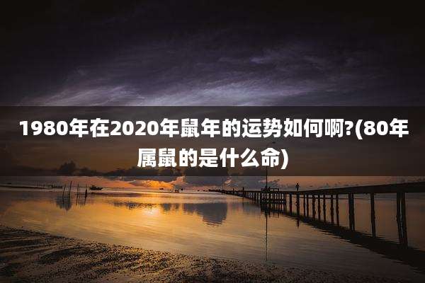 1980年在2020年鼠年的运势如何啊?(80年属鼠的是什么命)