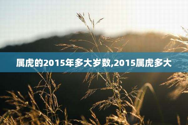 属虎的2015年多大岁数,2015属虎多大