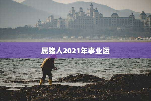 属猪人2021年事业运
