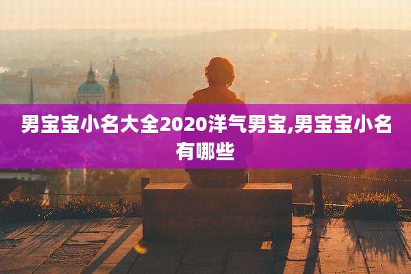 男宝宝小名大全2020洋气男宝,男宝宝小名有哪些
