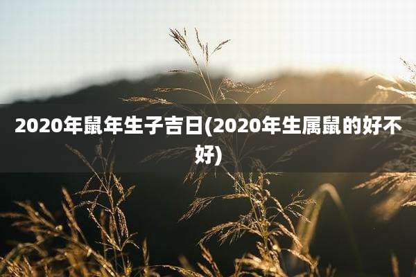 2020年鼠年生子吉日(2020年生属鼠的好不好)