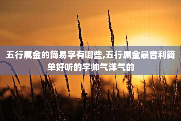 五行属金的简易字有哪些,五行属金最吉利简单好听的字帅气洋气的