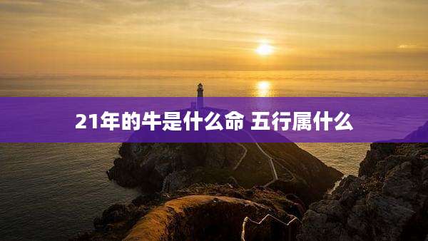21年的牛是什么命 五行属什么