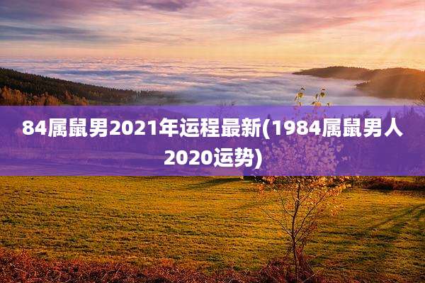84属鼠男2021年运程最新(1984属鼠男人2020运势)