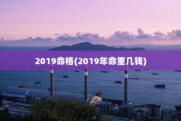 2019命格(2019年命重几钱)