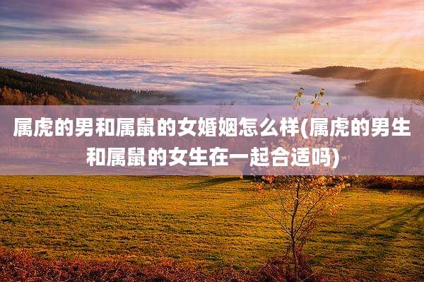 属虎的男和属鼠的女婚姻怎么样(属虎的男生和属鼠的女生在一起合适吗)