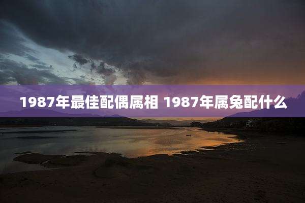 1987年最佳配偶属相 1987年属兔配什么