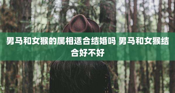 男马和女猴的属相适合结婚吗 男马和女猴结合好不好